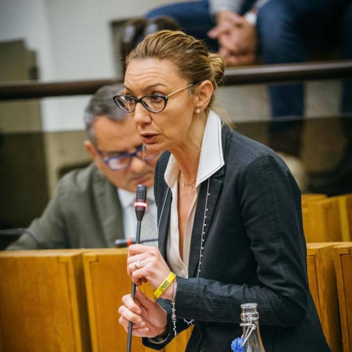 Simona Meloni interroga l’Assessore Morroni sulla manutenzione del canale Moiano e Anguillara