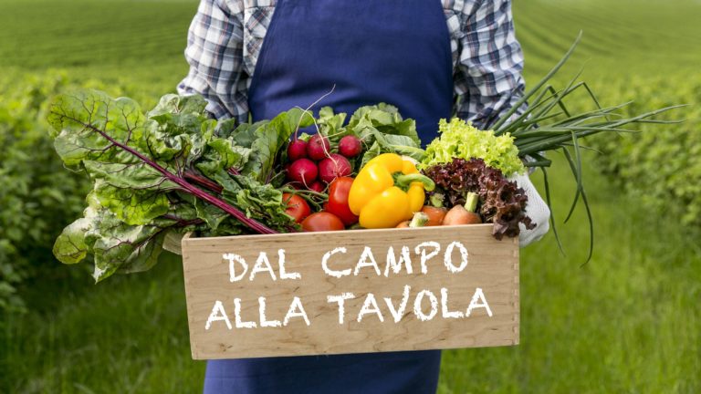 Venerdì 24 luglio si parla di agricoltura: “Dal Campo alla Tavola”