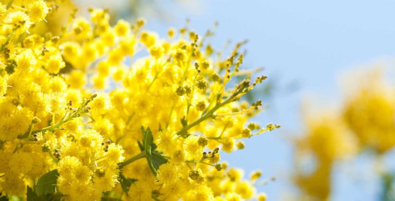 Ancora non è la Festa della Donna… buon 8 marzo futuro!